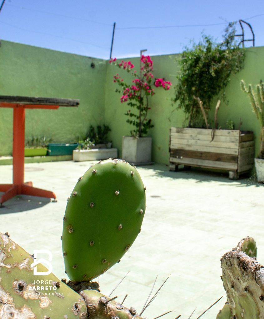 31-ultima-foto-terraza-warnes-800